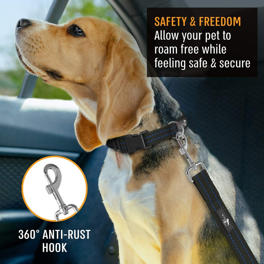 Active Pets attache harnais chien bleu, fixation fiable pour chaque sortie