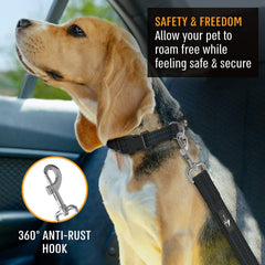 Active Pets attache harnais chien bleu, fixation fiable pour chaque sortie