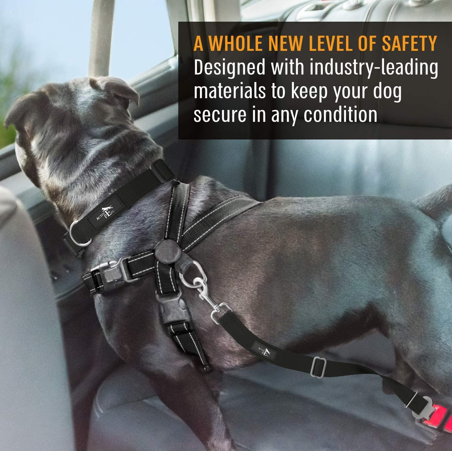 Active Pets: installation facile pour sécuriser rapidement votre chien