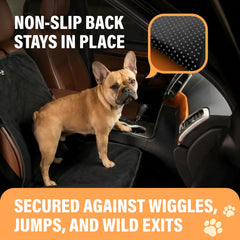 Active Pets installation rapide en 60 secondes pour tous les vehicules.