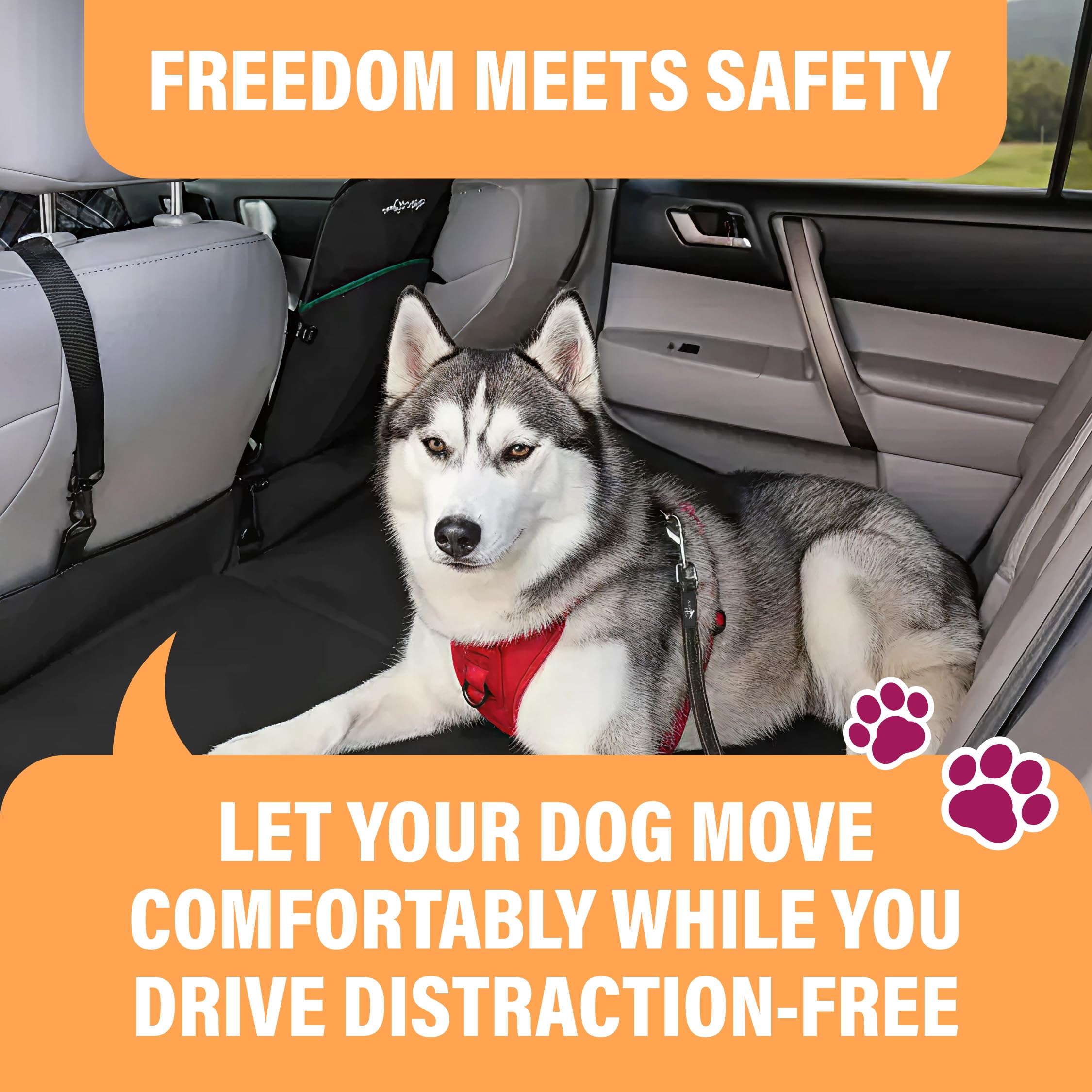 Active Pets, installation rapide, fixation simple pour une sécurité accrue en voiture.