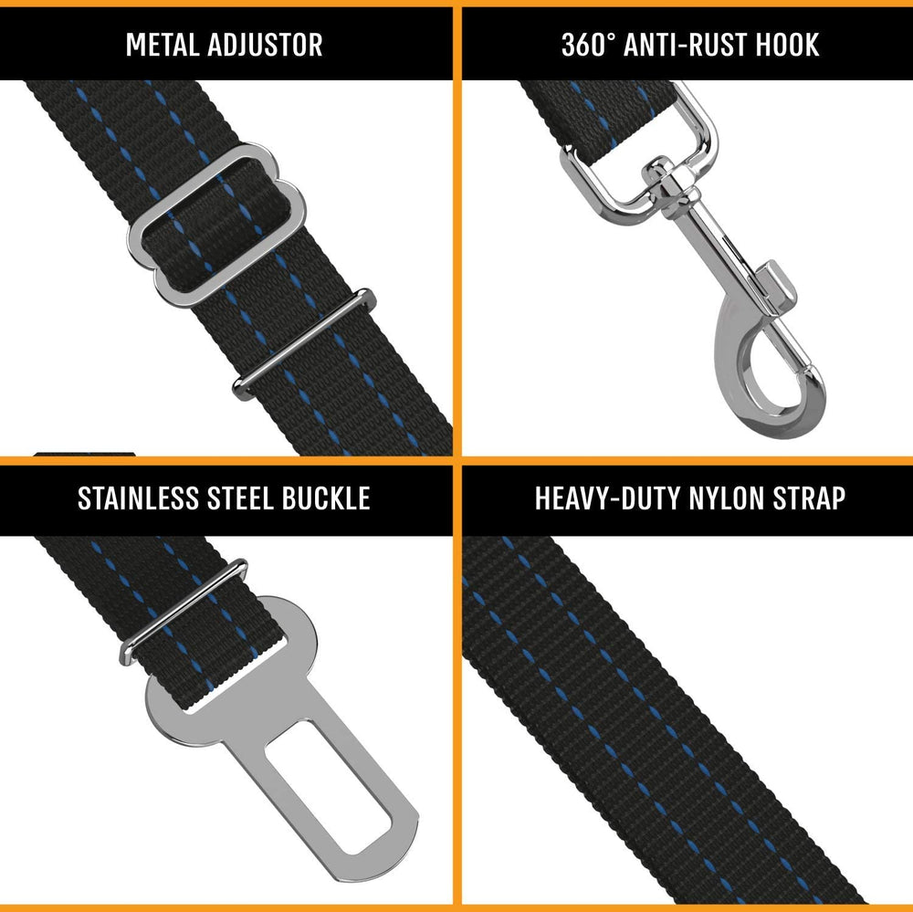 Active Pets installation rapide chien bleu, mise en place simple et rapide