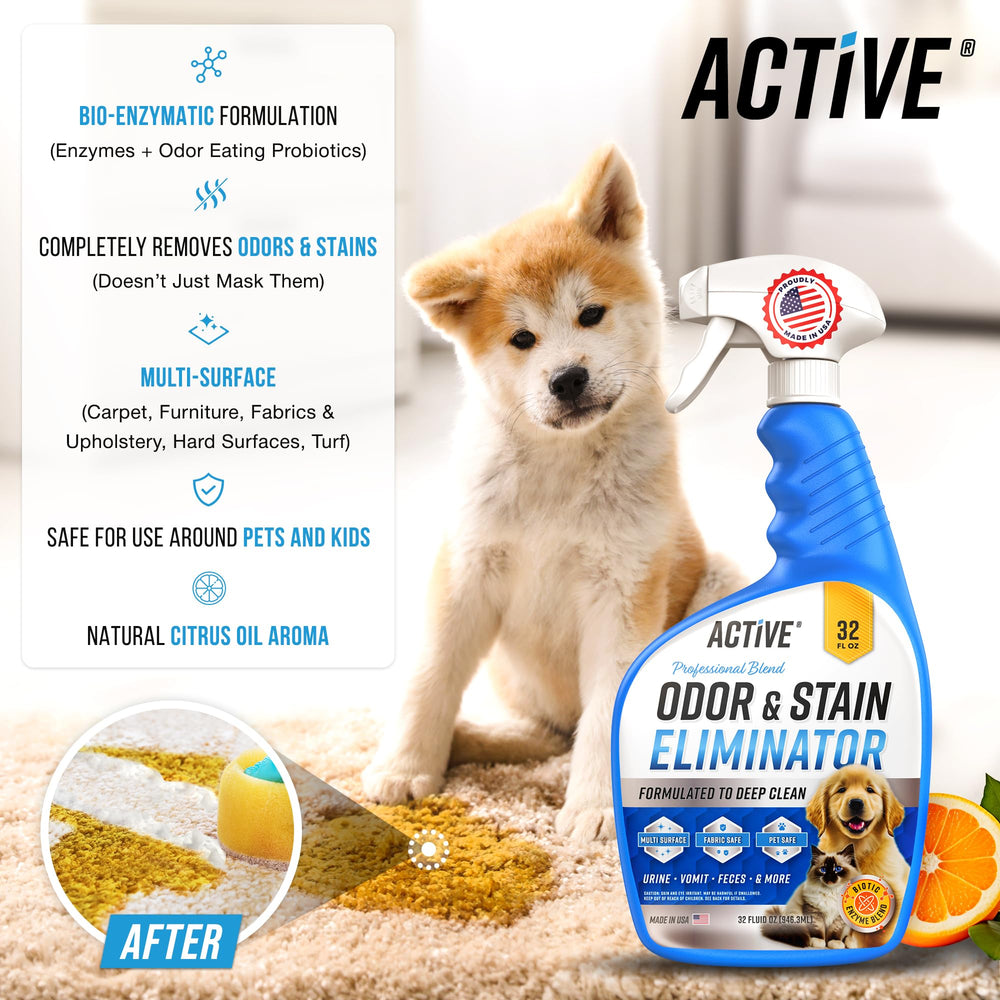 ACTIVE application sur tapis et tapisserie pour eliminer taches