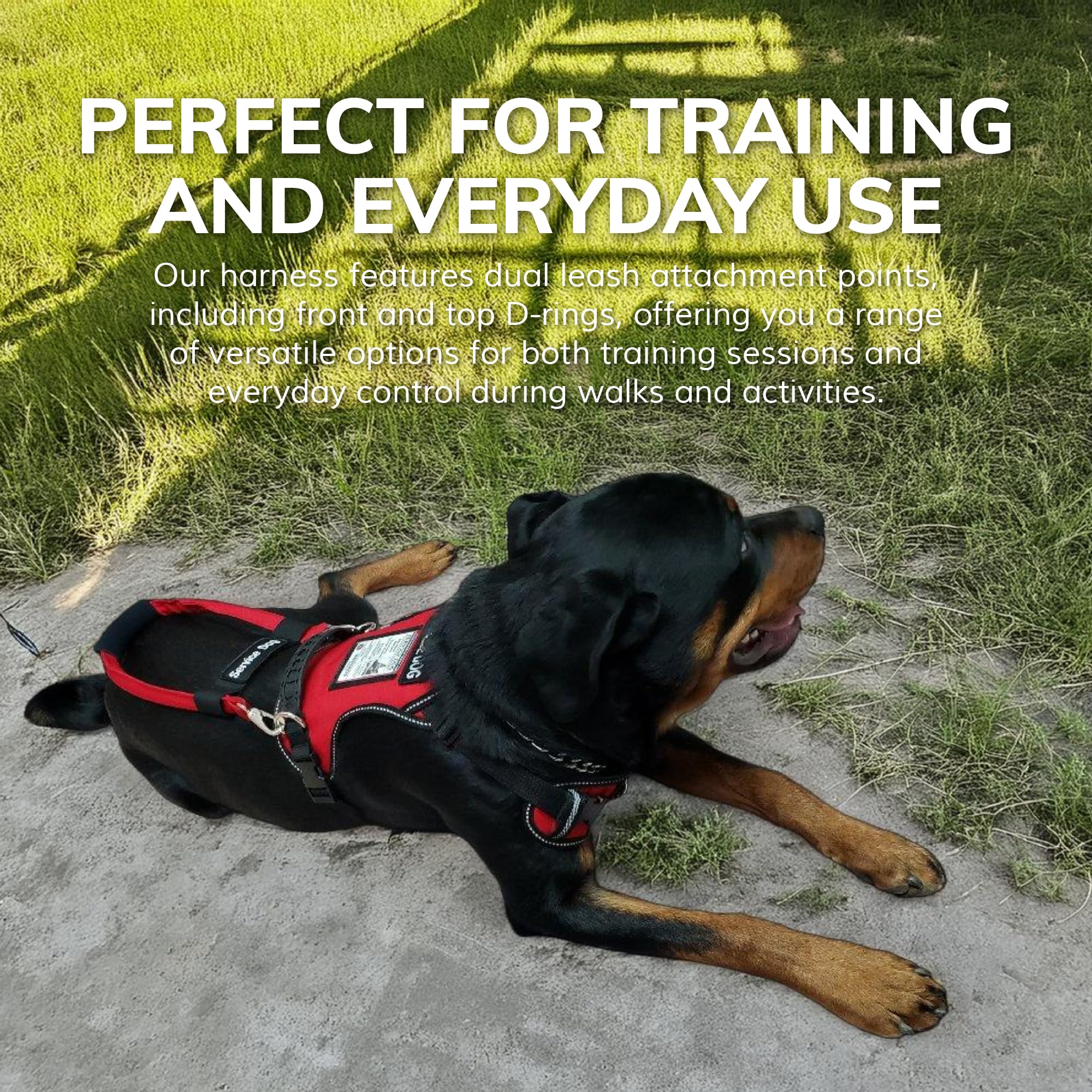 Harnais ActiveDogs mesh Air-Tech pour un confort tout au long de la journée