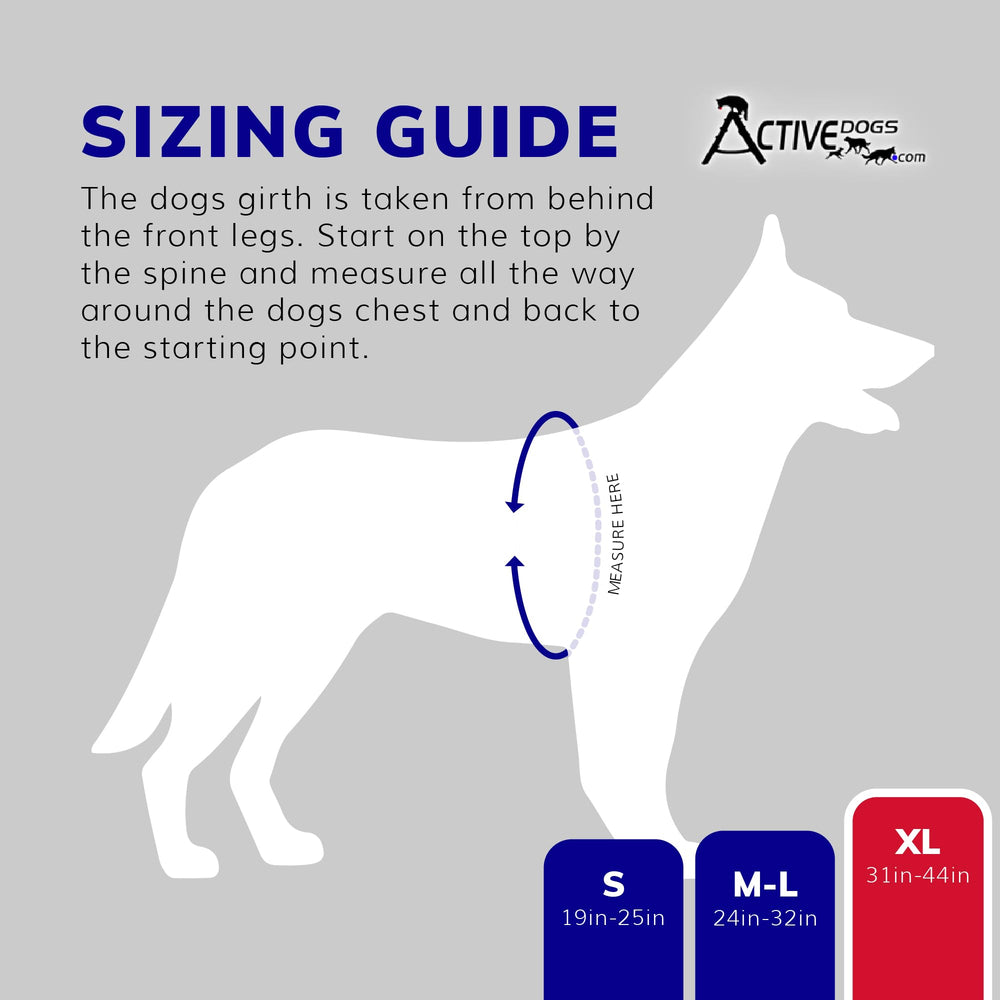 ActiveDogs garniture réfléchissante et design robuste pour sorties nocturnes.