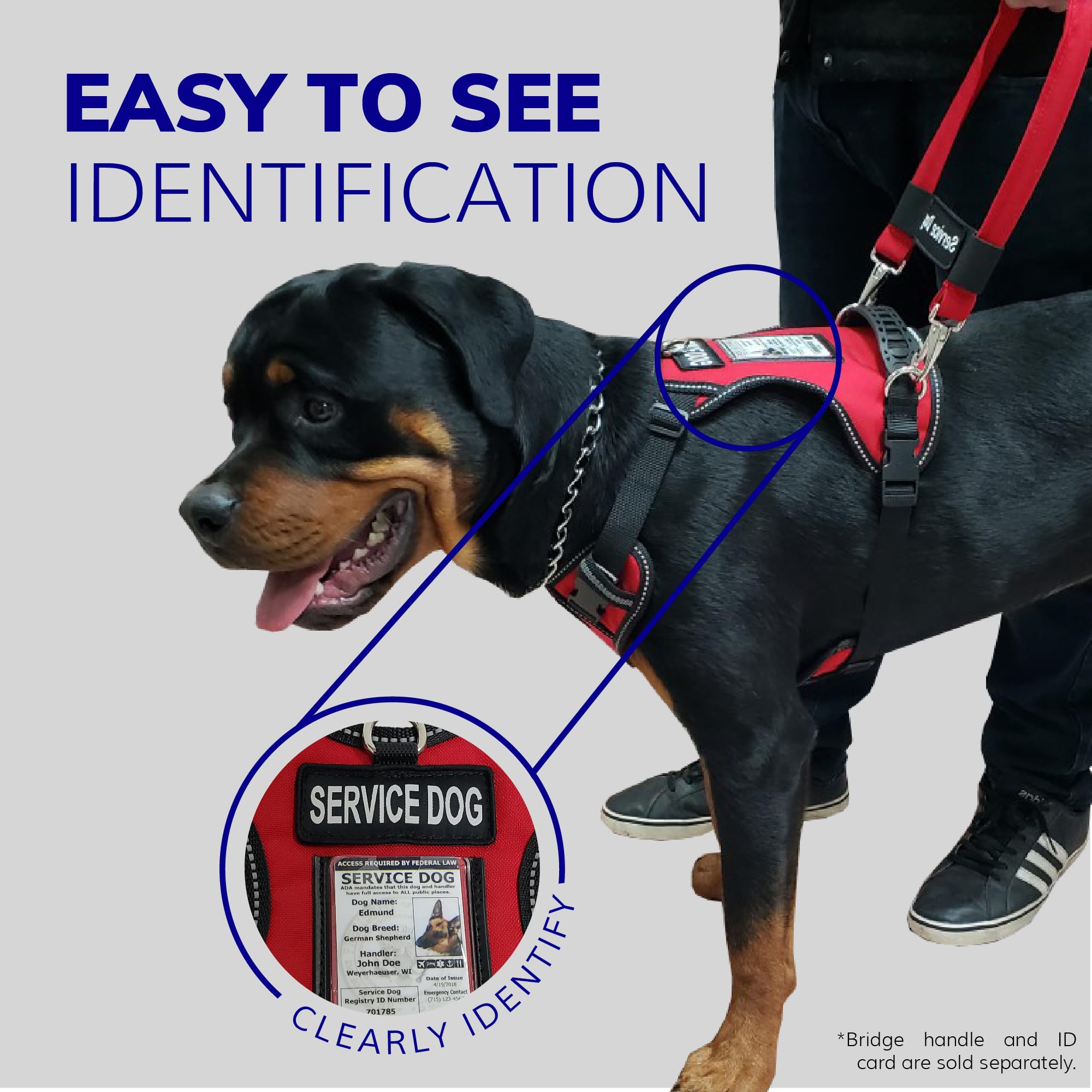 ActiveDogs patch service chien 2 pour identification fiable.
