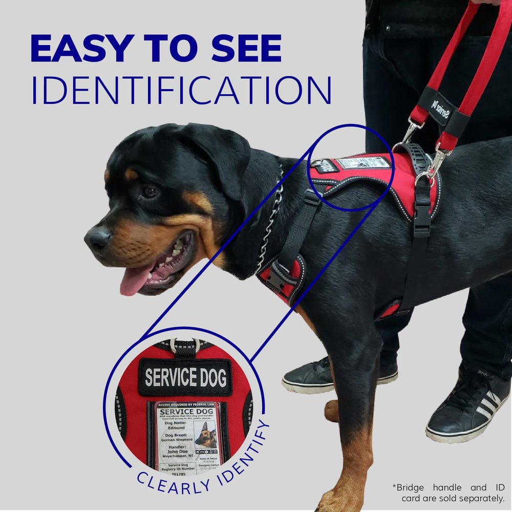 ActiveDogs patch service chien 2 pour identification fiable.