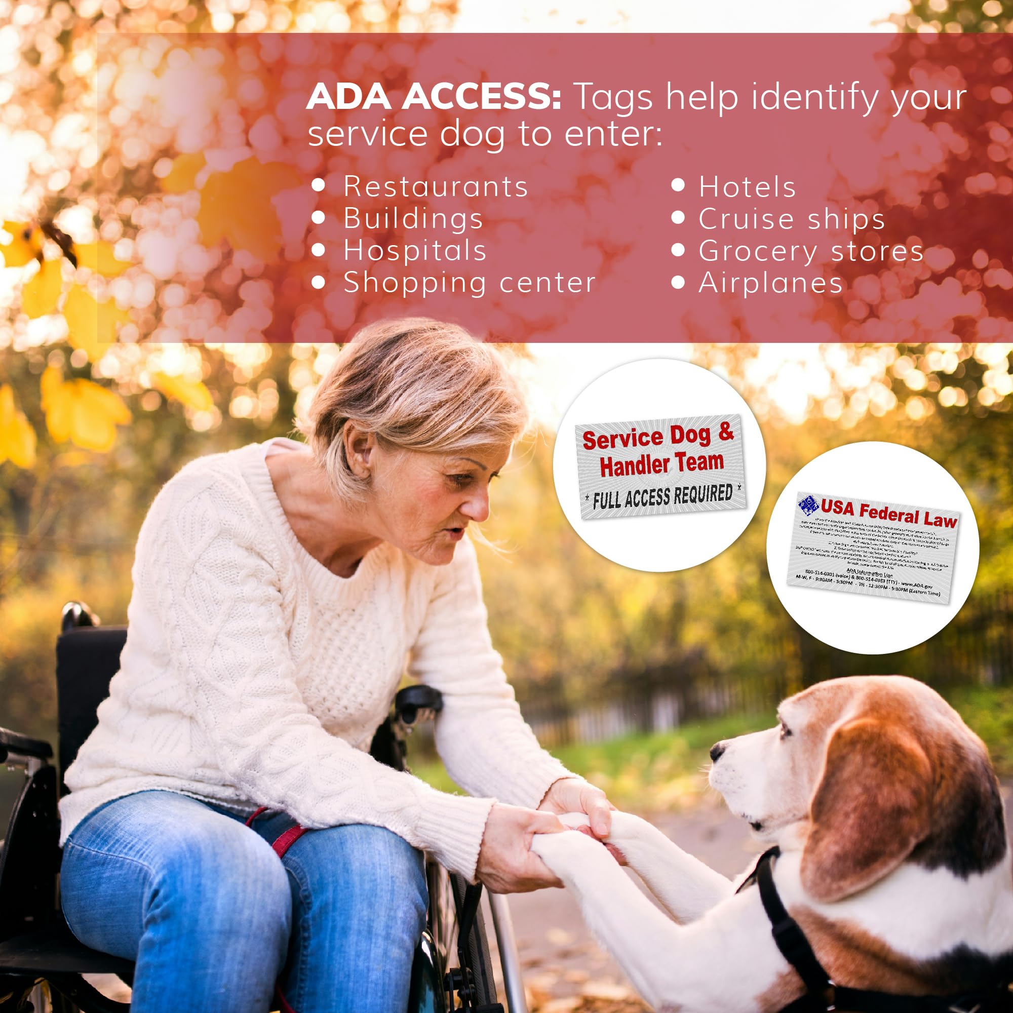 Activedogs patches reflechissants améliorent la visibilite en faible éclairage.