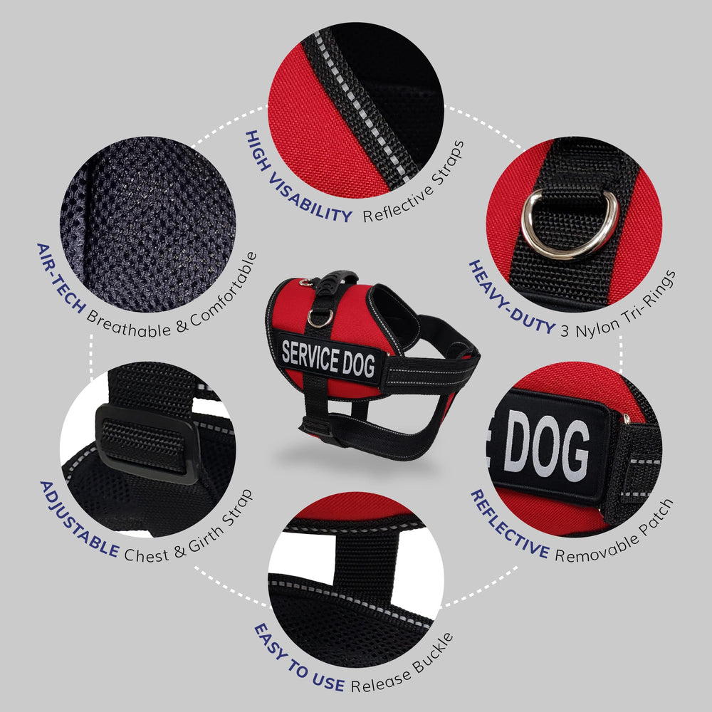 ActiveDogs patches réfléchissants harnais, visibilité accrue en faible luminosité.