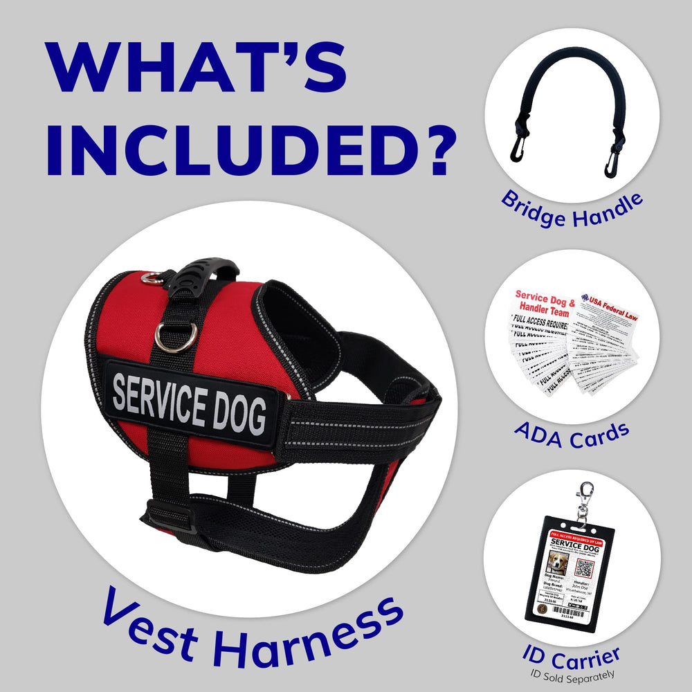 Activedogs poignee amovible liaison facilite le controle lors des sorties.