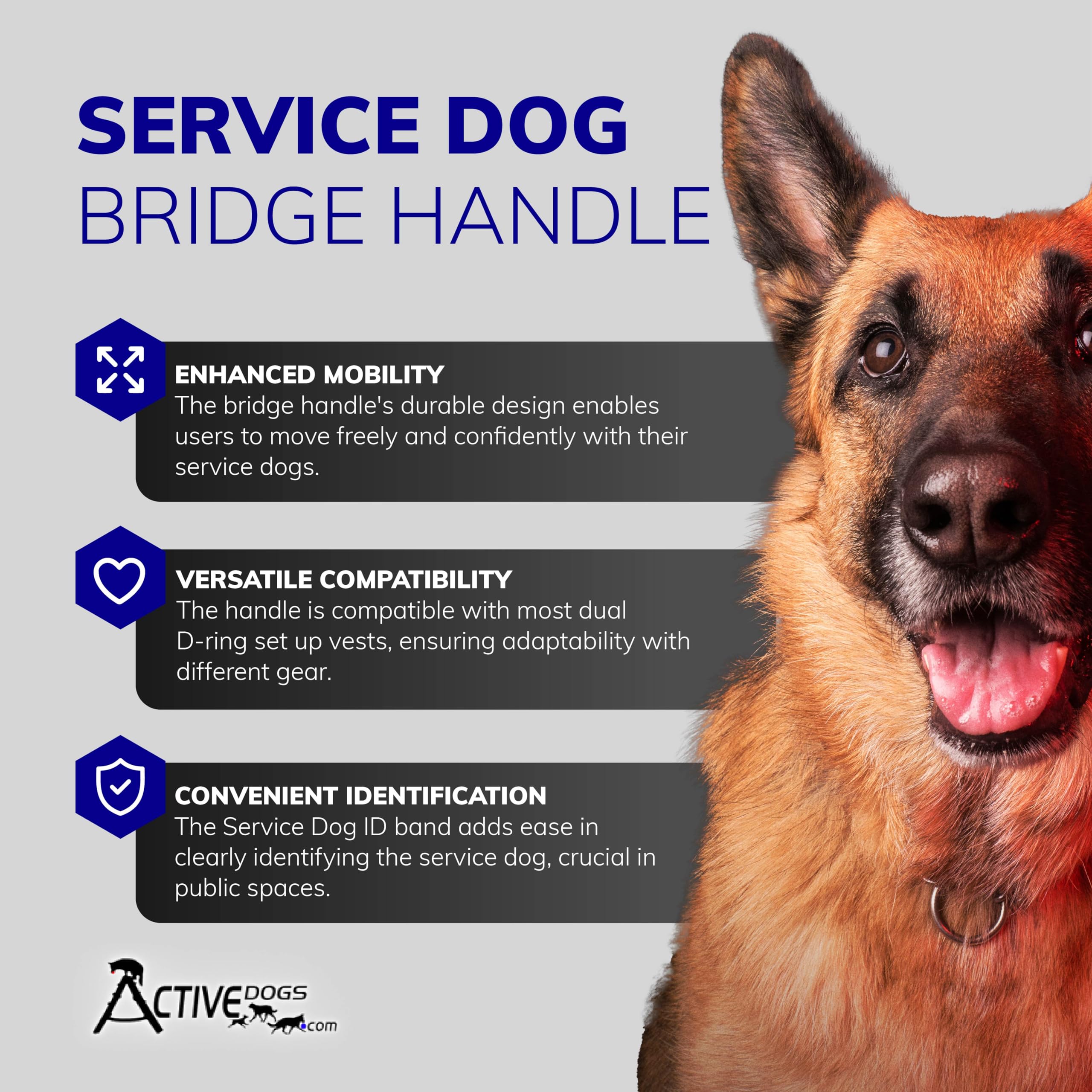 ActiveDogs Poignée-pont avec attache rapide pour harnais chien-assistance.