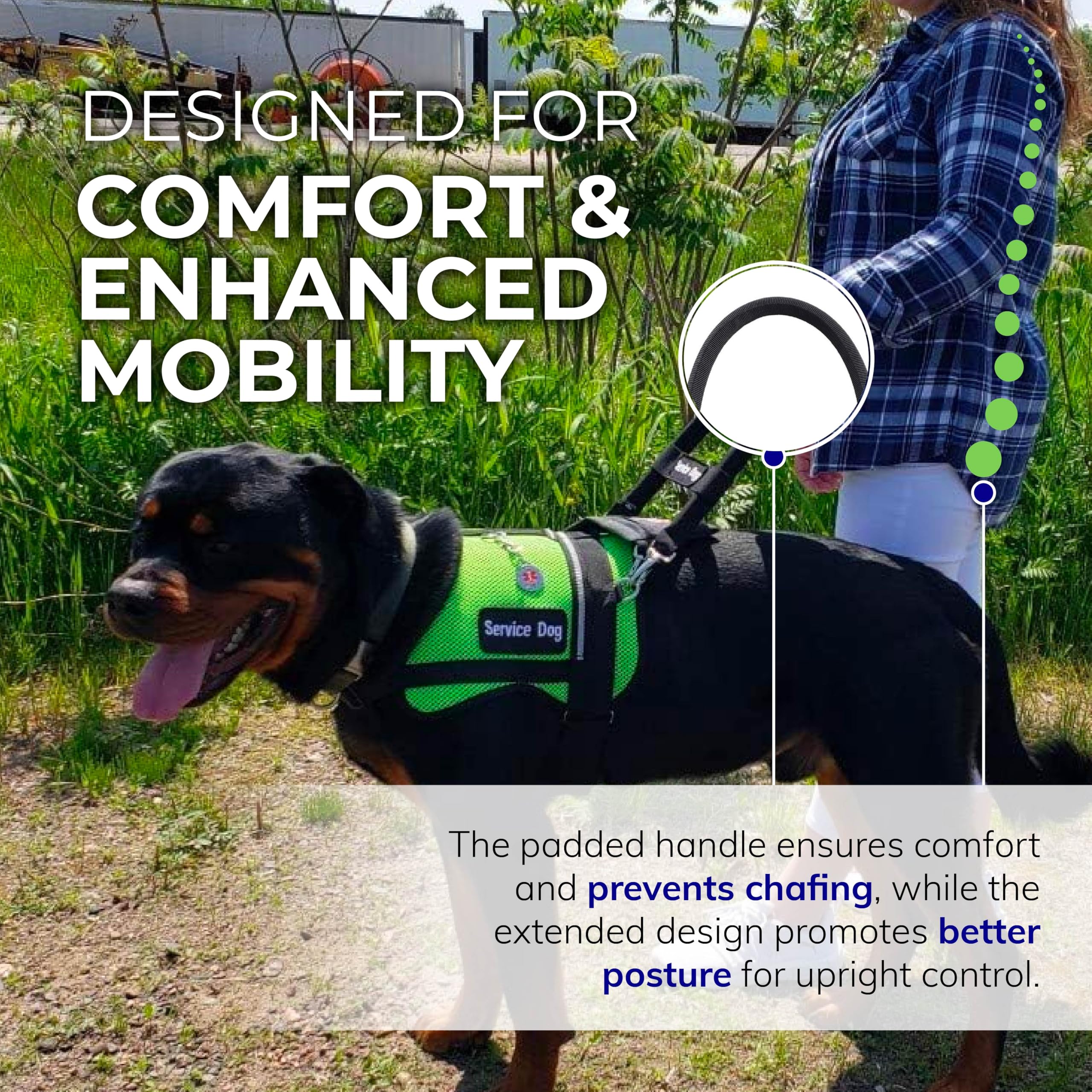 ActiveDogs Clips métalliques résistants pour fixation sûre.
