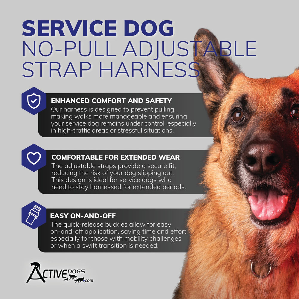 ActiveDogs veste service chien, anneau-D avant: guidage sans tirer et meilleure maîtrise.