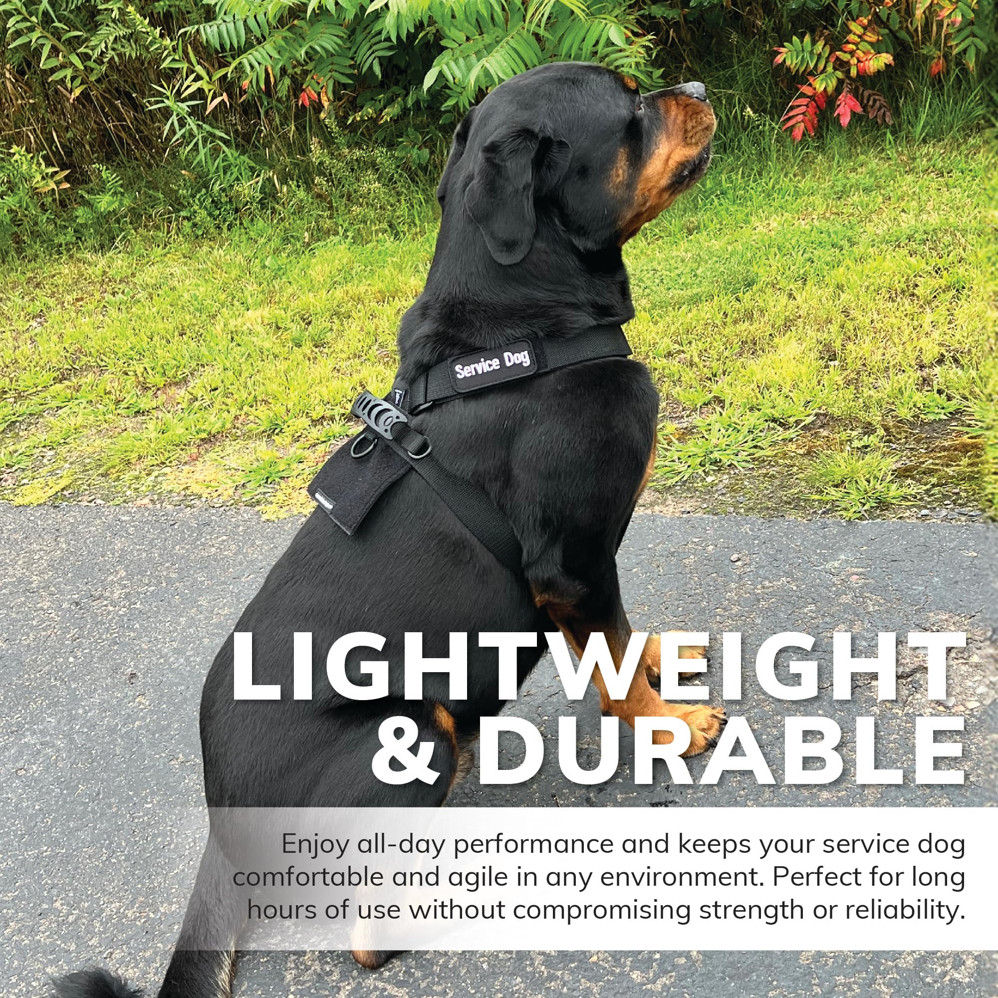 ActiveDogs veste service chien, taille 22-32 pouces: convient chien moyen à grand.