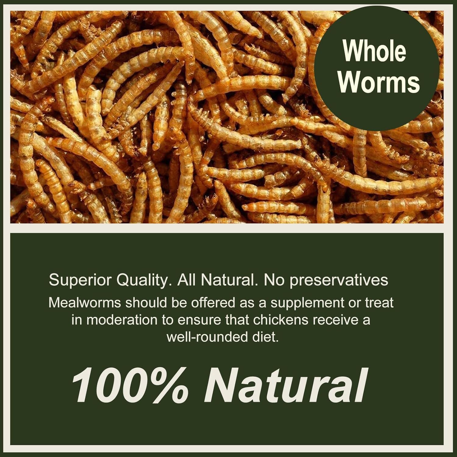 Texture détaillée des vers de farine séchés Adaman montrant leur consistance naturelle.