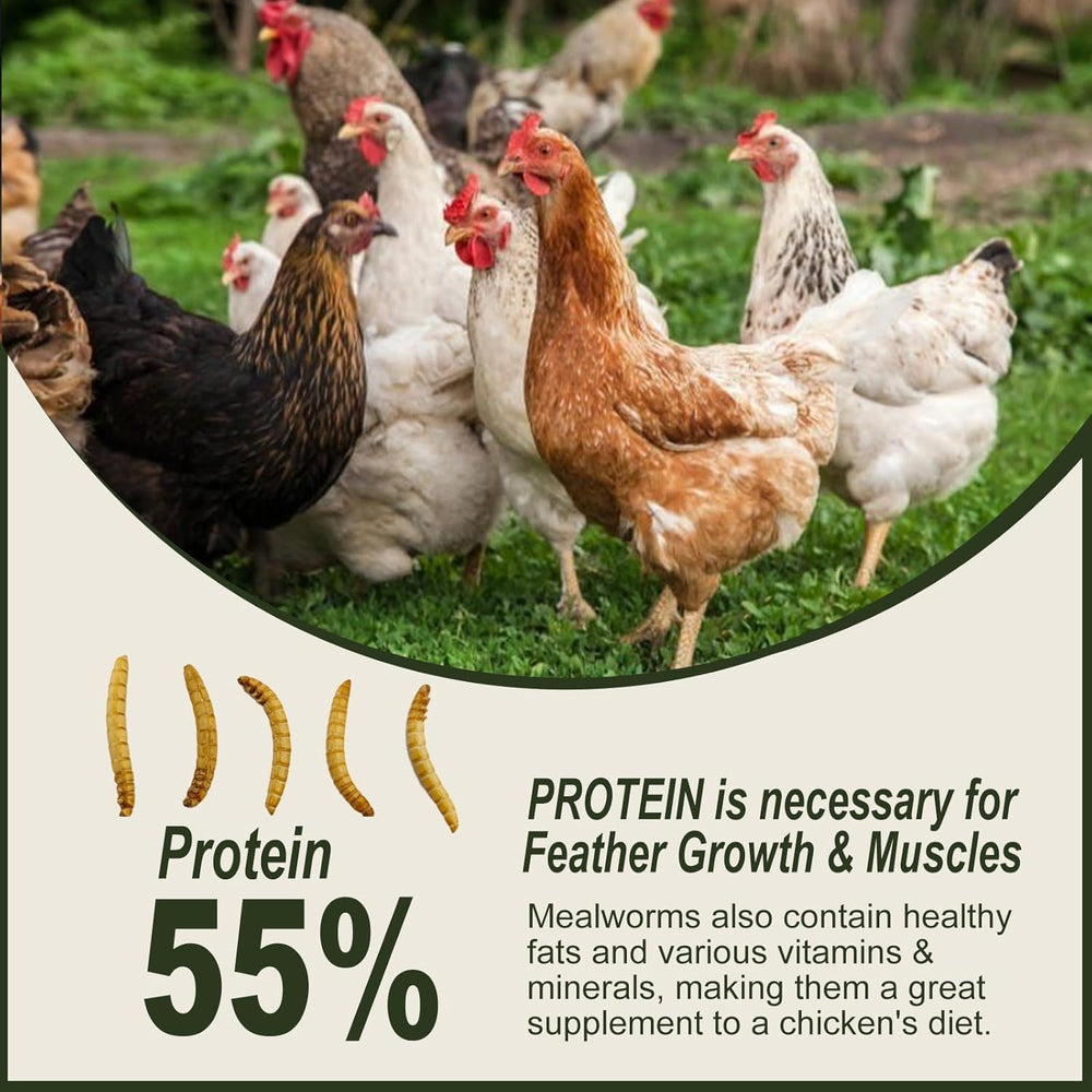 Sachet refermable Adaman de vers de farine séchés pour une conservation pratique.