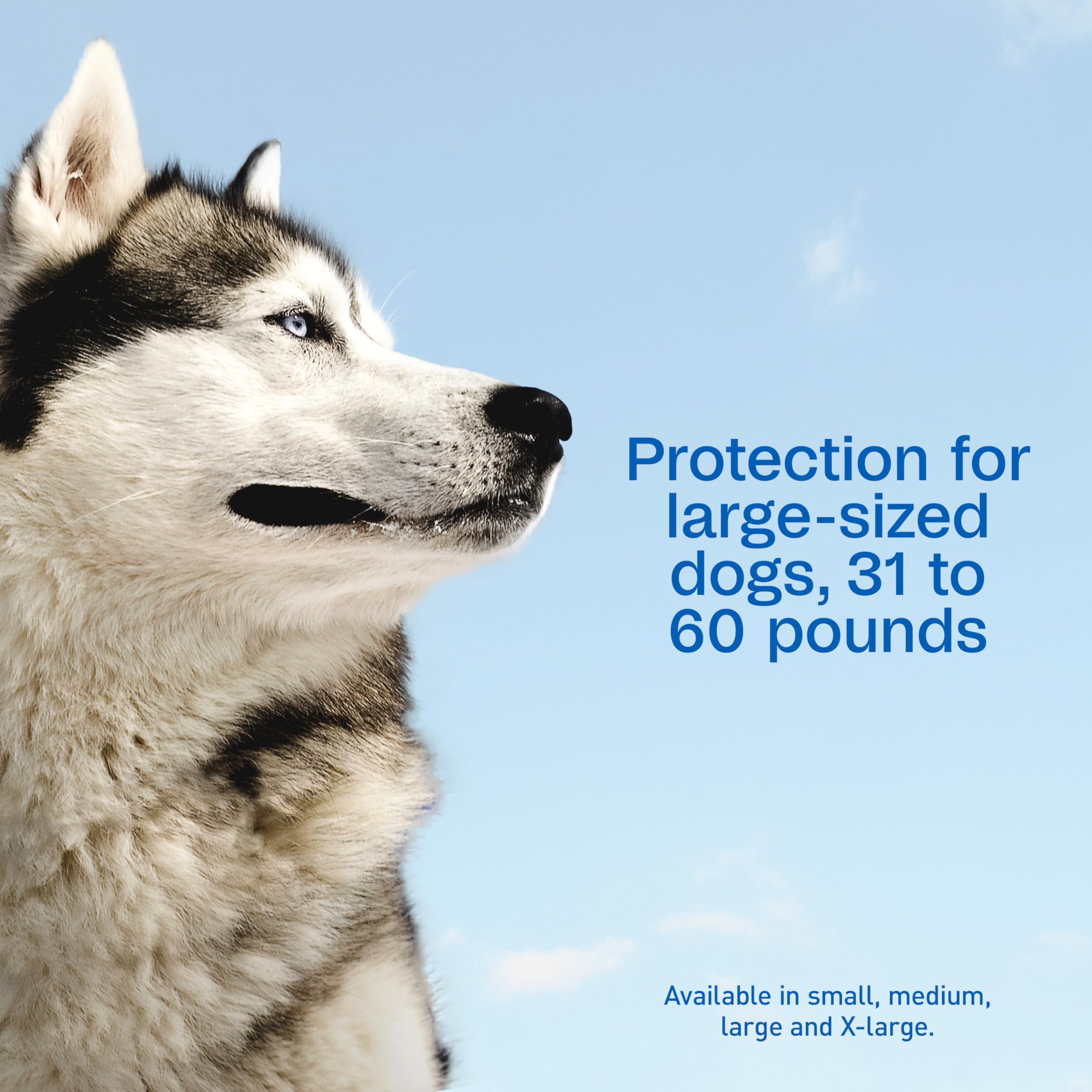 ADAMS Plus applicateur facile, se propage dans le pelage du chien.