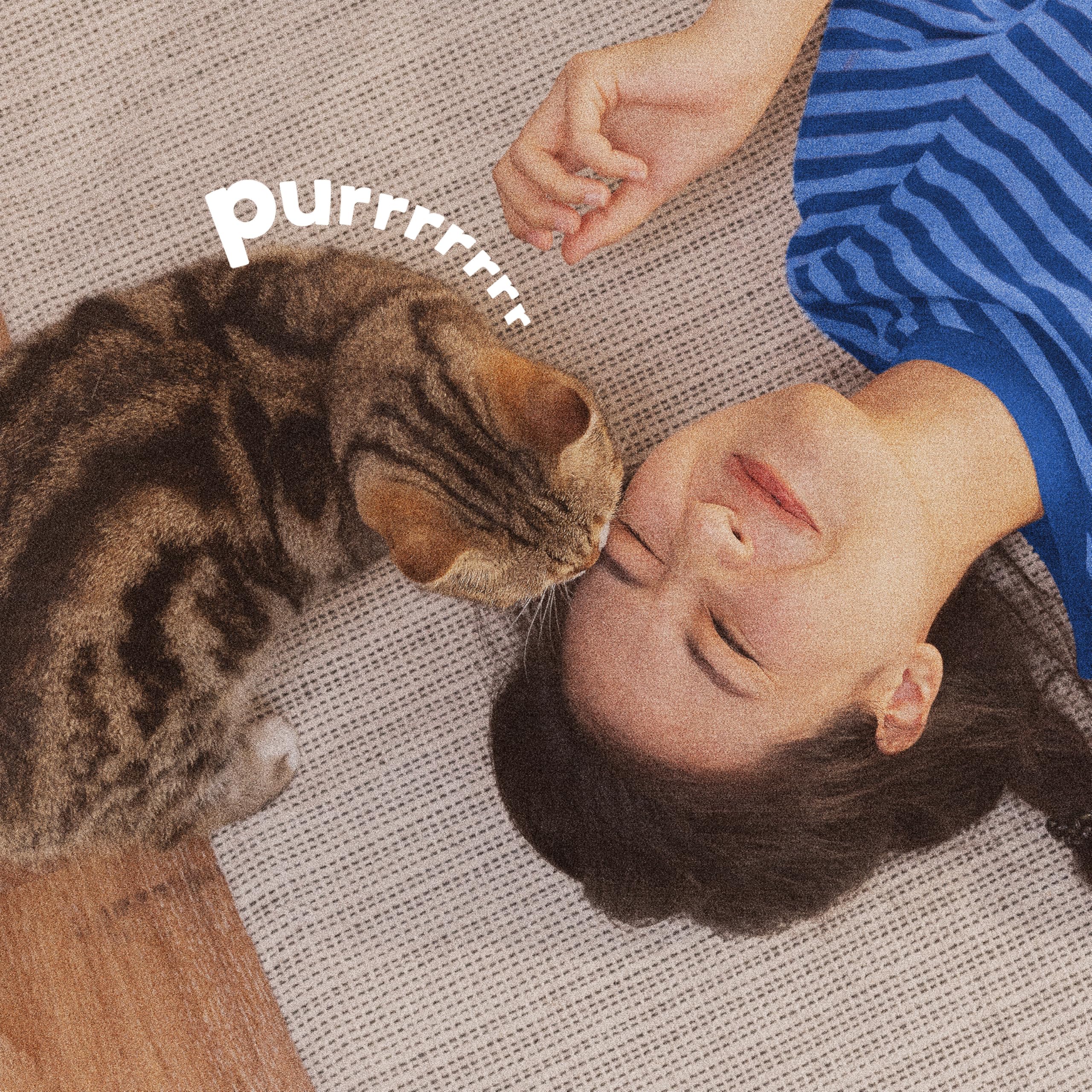 Moustiques repoussés après traitement ADAMS Plus Chat.