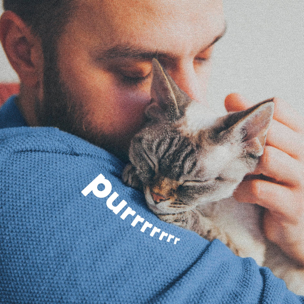 Collier ADAMS Plus pour chats dès 12 semaines.