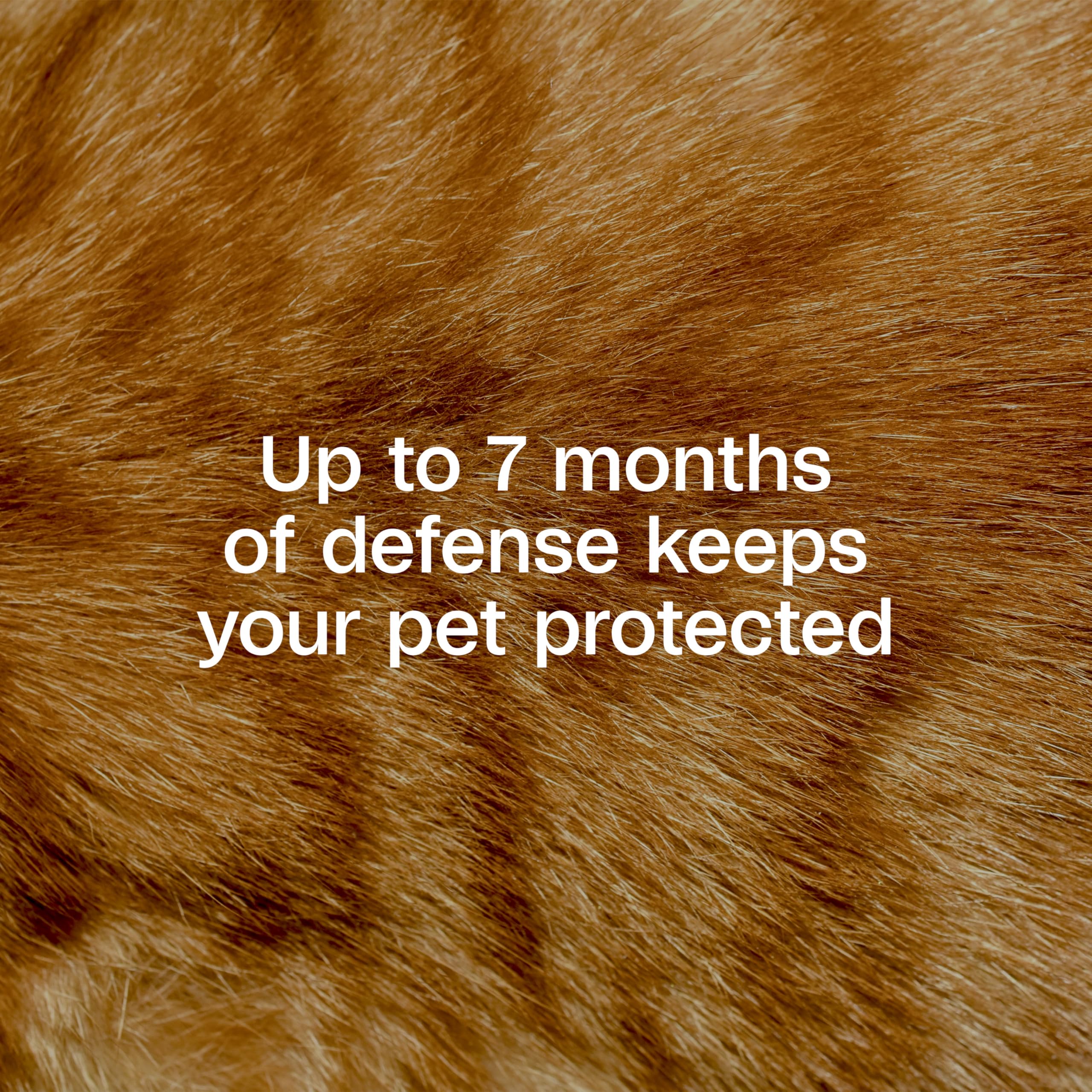 ADAMS Plus action liberation prolongee pour chat, protection durable du pelage.