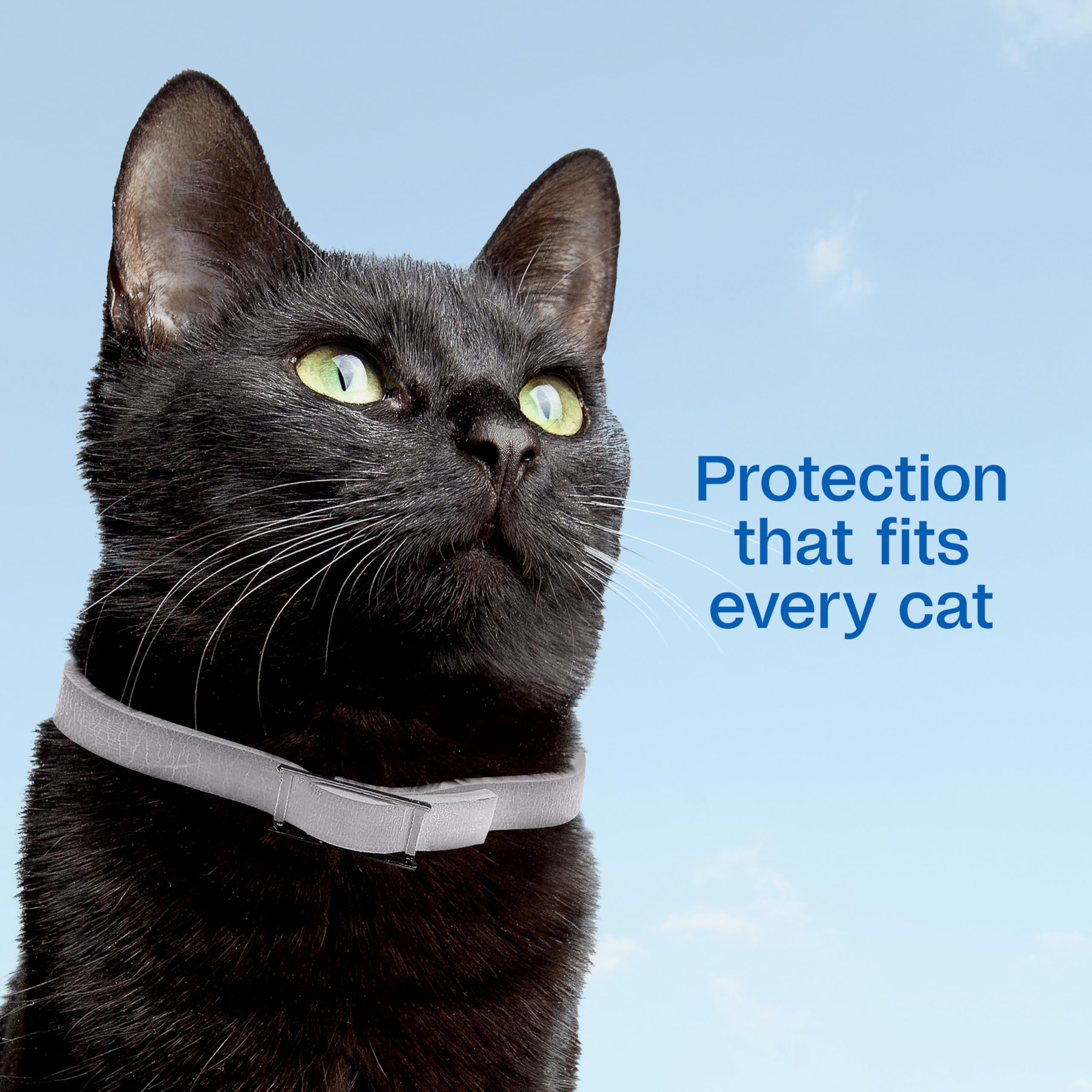 Collier ADAMS Plus offre protection 7 mois pour chat.