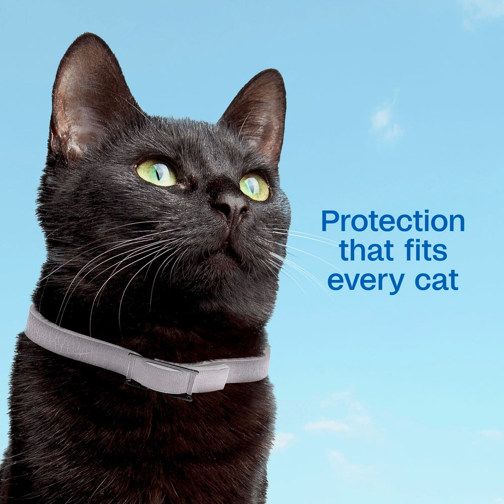 Collier ADAMS Plus offre protection 7 mois pour chat.