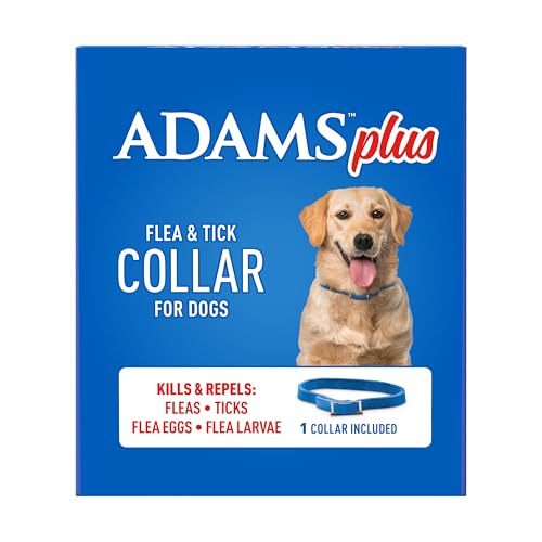 Collier Adams Plus protège tout au long de la saison des puces.