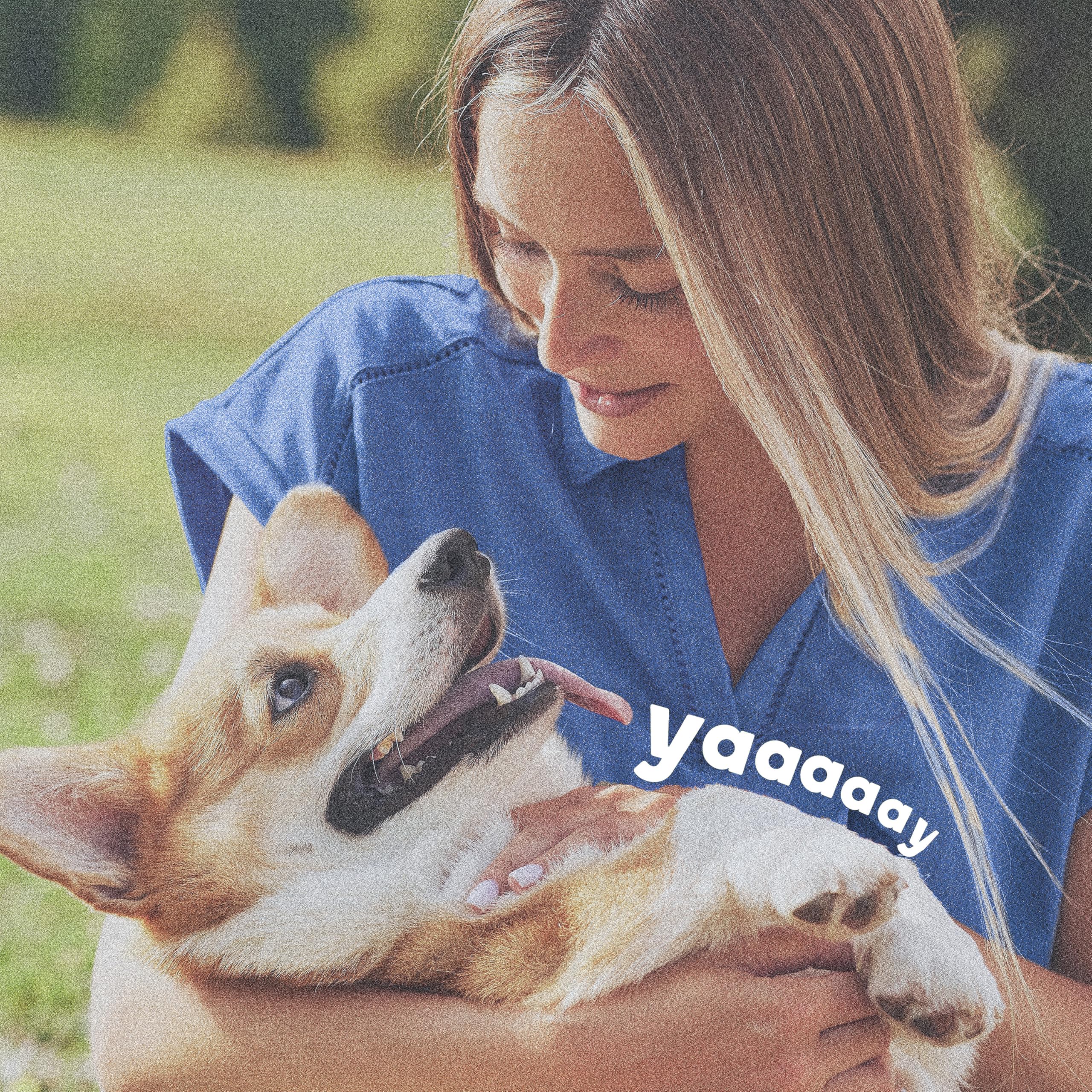 Collier Adams Plus convient chiots et chiens adultes, utilisation polyvalente.