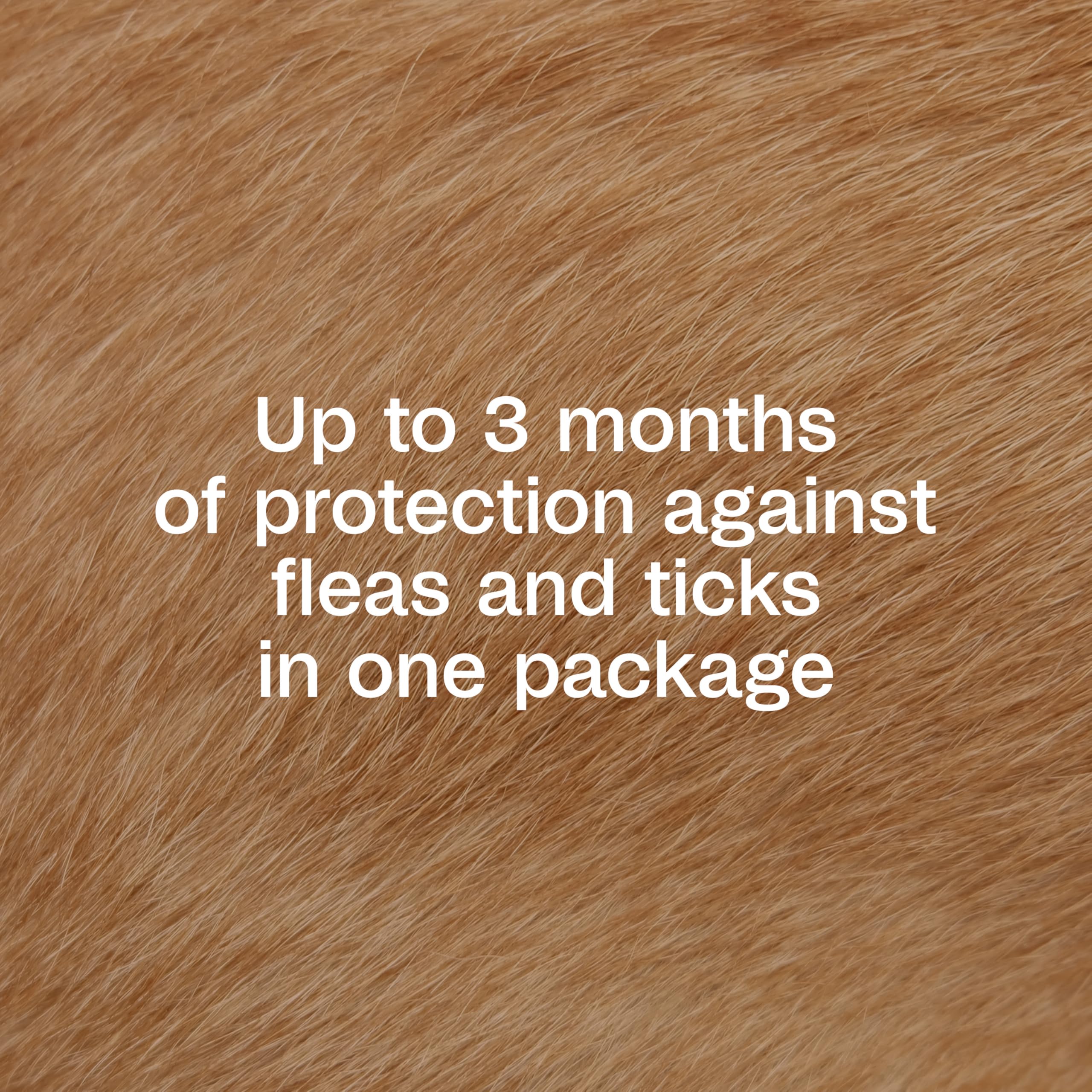 ADAMS Plus diffusion après application sur la peau du chien.