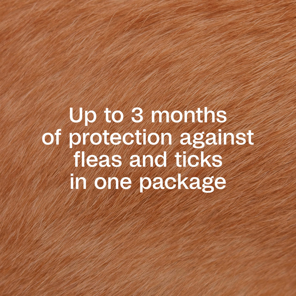 ADAMS Plus diffusion après application sur la peau du chien.