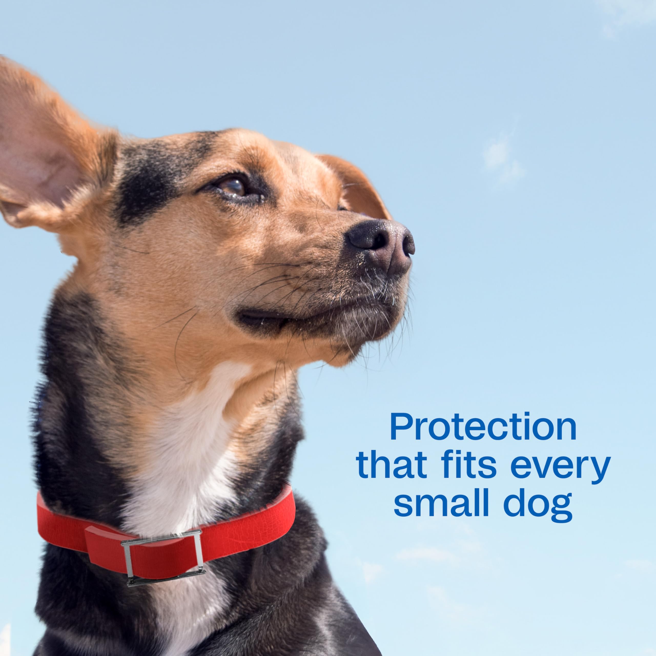 ADAMS Plus technologie libération prolongée, protection continue jusqu'à sept mois