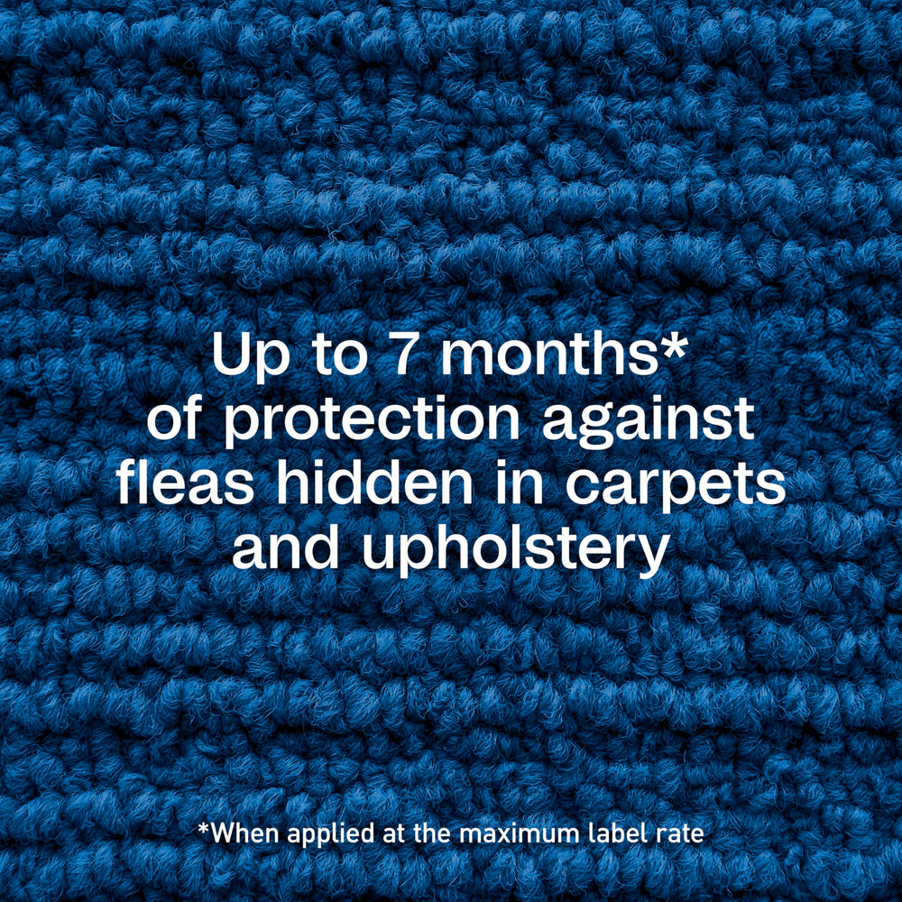 ADAMS Plus tiques-puces-tapis : action efficace sur les nuisibles tapis.
