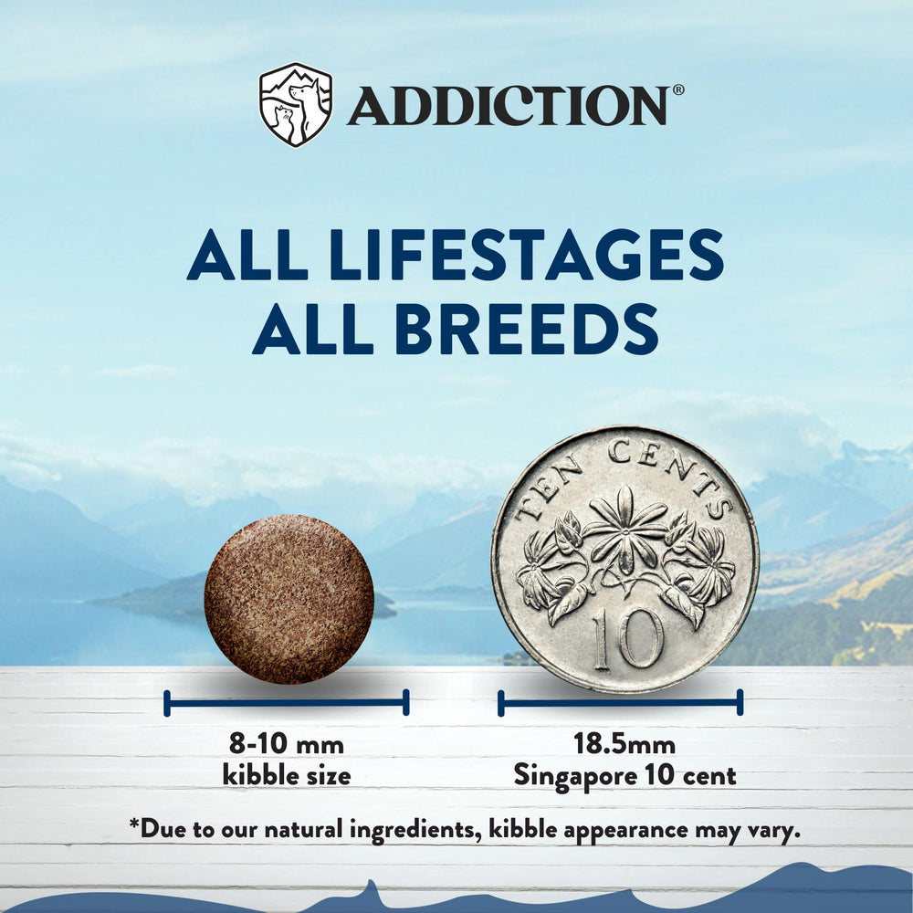 Add Addiction Wild Kangaroo Feast croquettes détaillées : texture croquante et appétence naturelle.