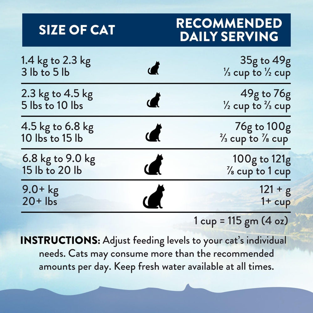 Add Addiction Wild Kangaroo Feast label NZ : fabrication respectant normes et traçabilité.