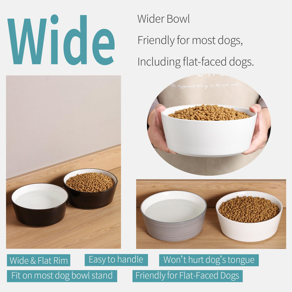 Addogyy bol-chien-anti-glisse-ceramique, base lourde pour repas sans dégât.