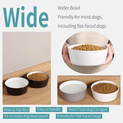 Addogyy bol-chien-anti-glisse-ceramique, base lourde pour repas sans dégât.