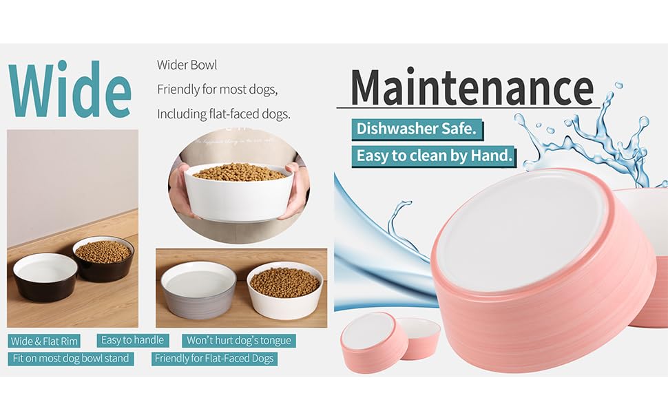 Addogyy bol ceramique antiderrapant base pesante, stabilité lors de l'alimentation.