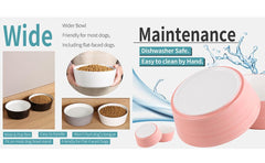 Addogyy bol ceramique antiderrapant base pesante, stabilité lors de l'alimentation.