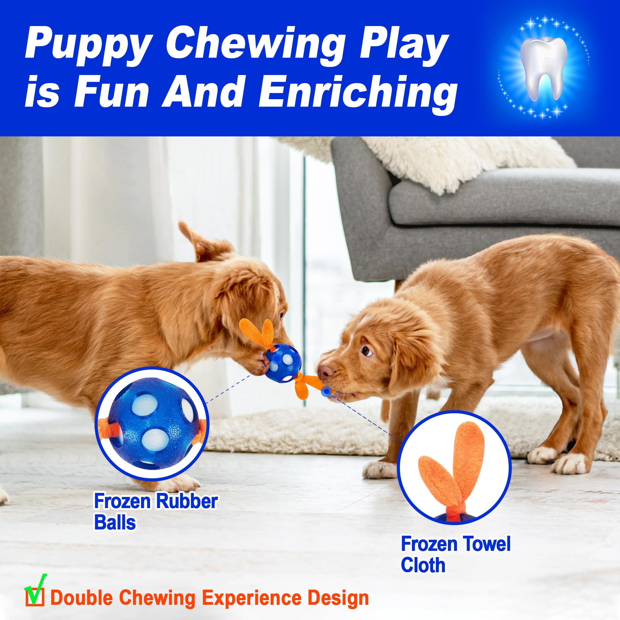 ADDPETS jouet dentition chiot interactif, stimule l activité et le jeu social.