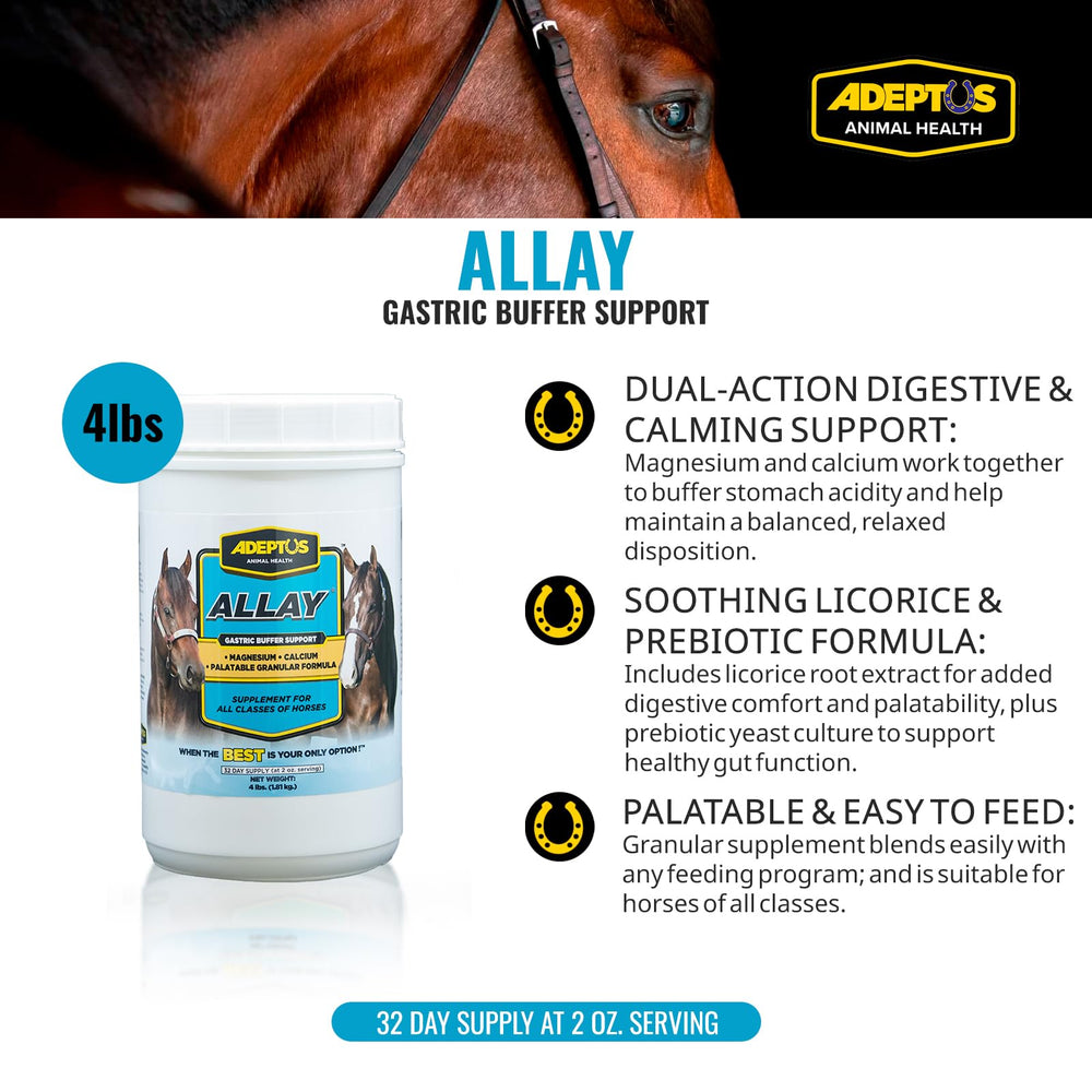 Allay équin base prébiotique soutenant le confort digestif pendant l'alimentation riche en grains.