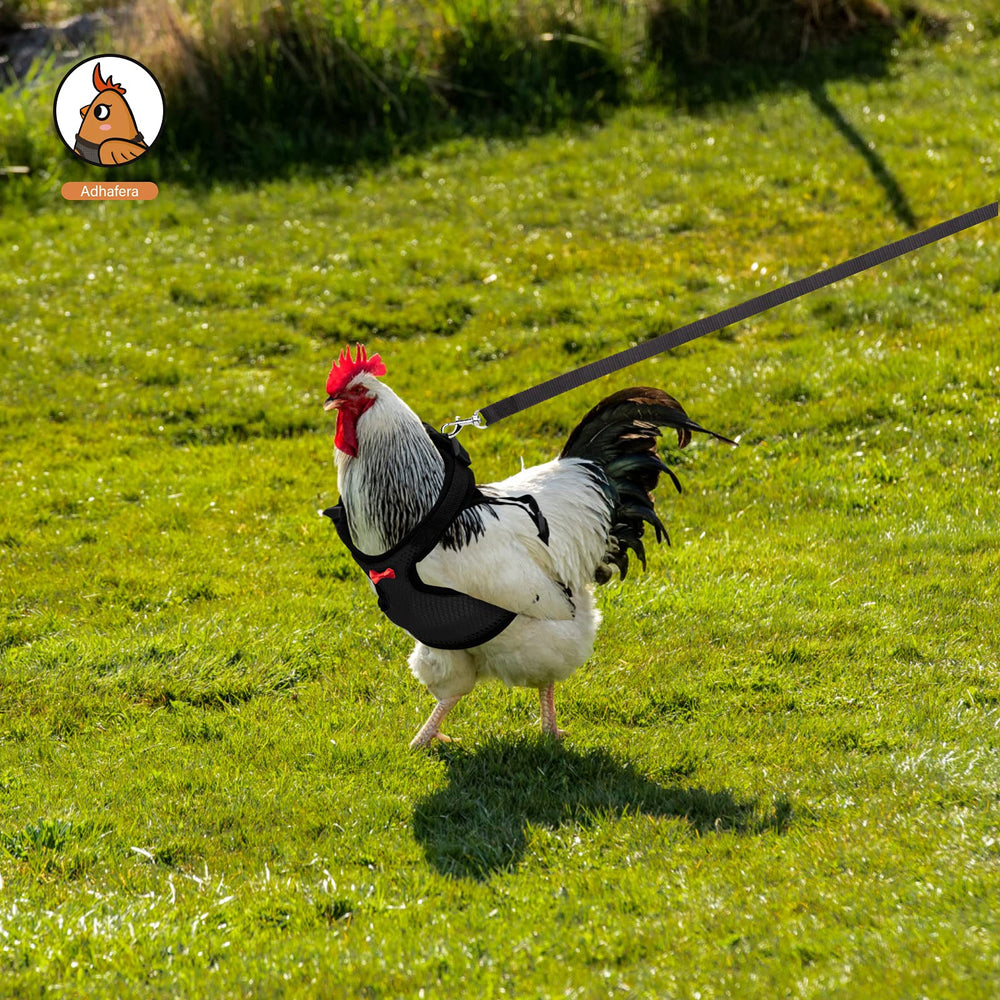 Utilisation polyvalente Adhafera, harnais pour poulet, canard, oie ou petit chien.