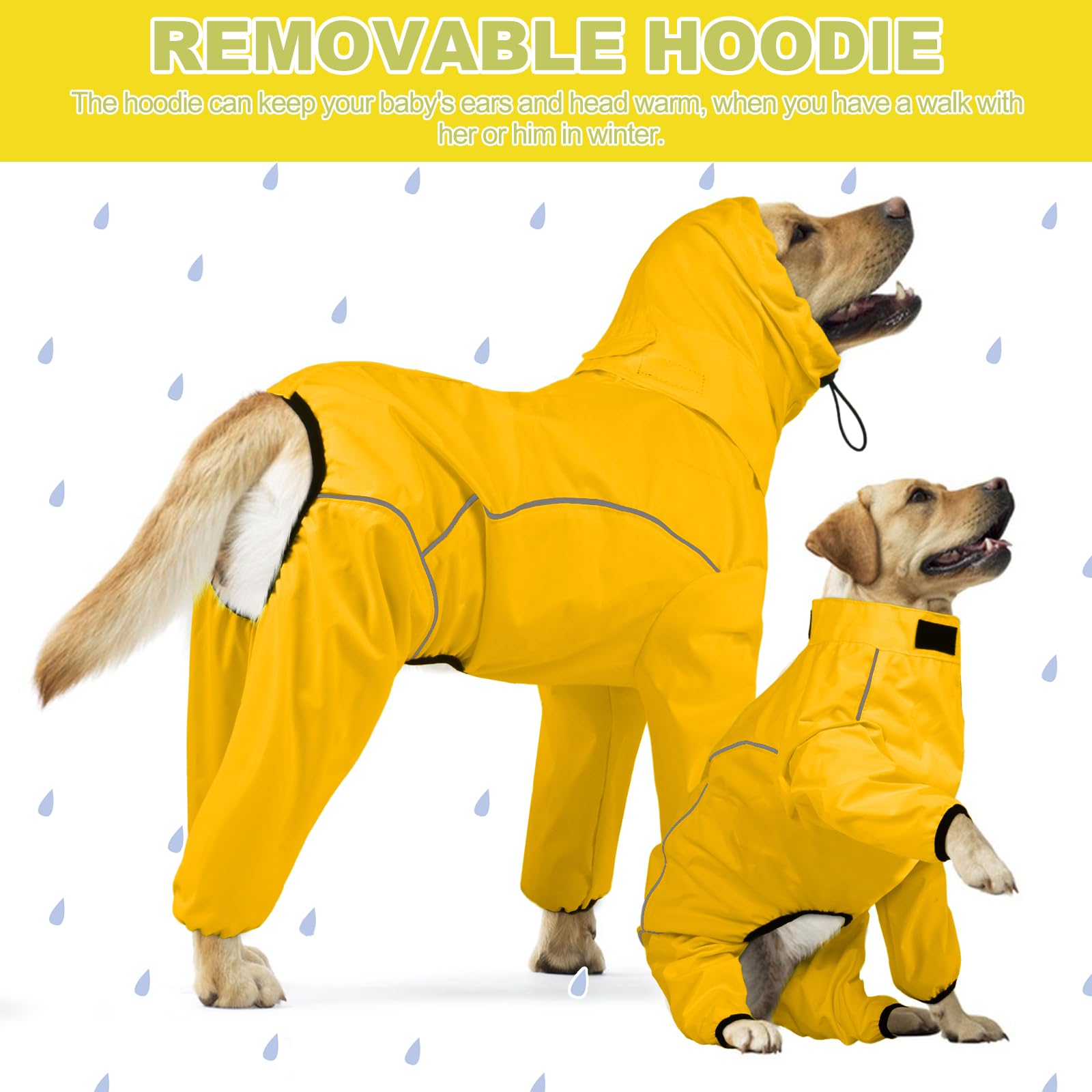 Tailles allant de S à 3XL pour tous les chiens.