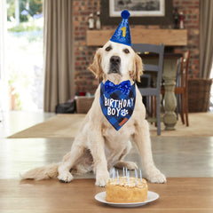 ADOGGYGO bandana anniversaire bleu chien, confort en coton et look festif.