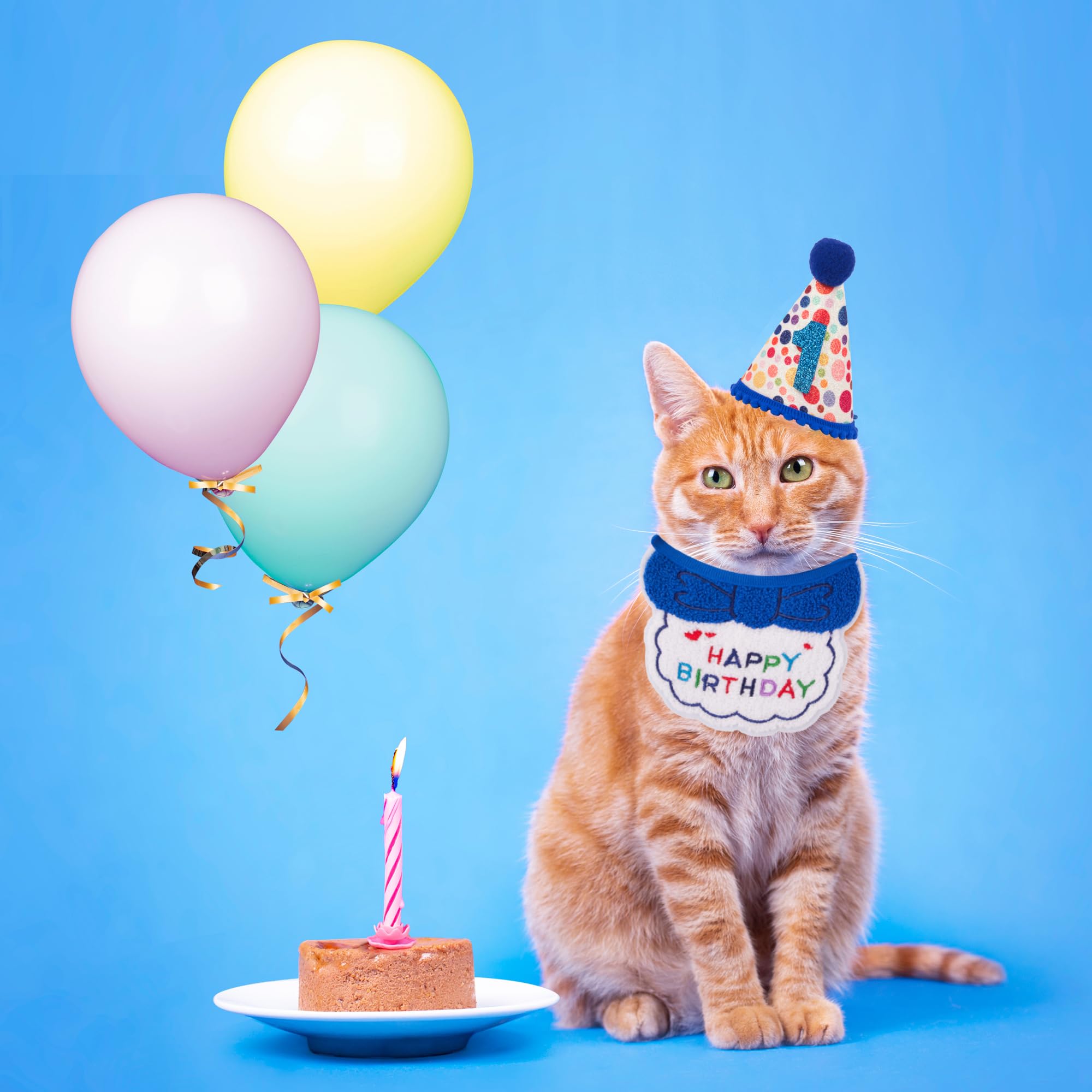 Bandana anniversaire ADOGGYGO bleu avec texte joyeux, confort pour votre chat.