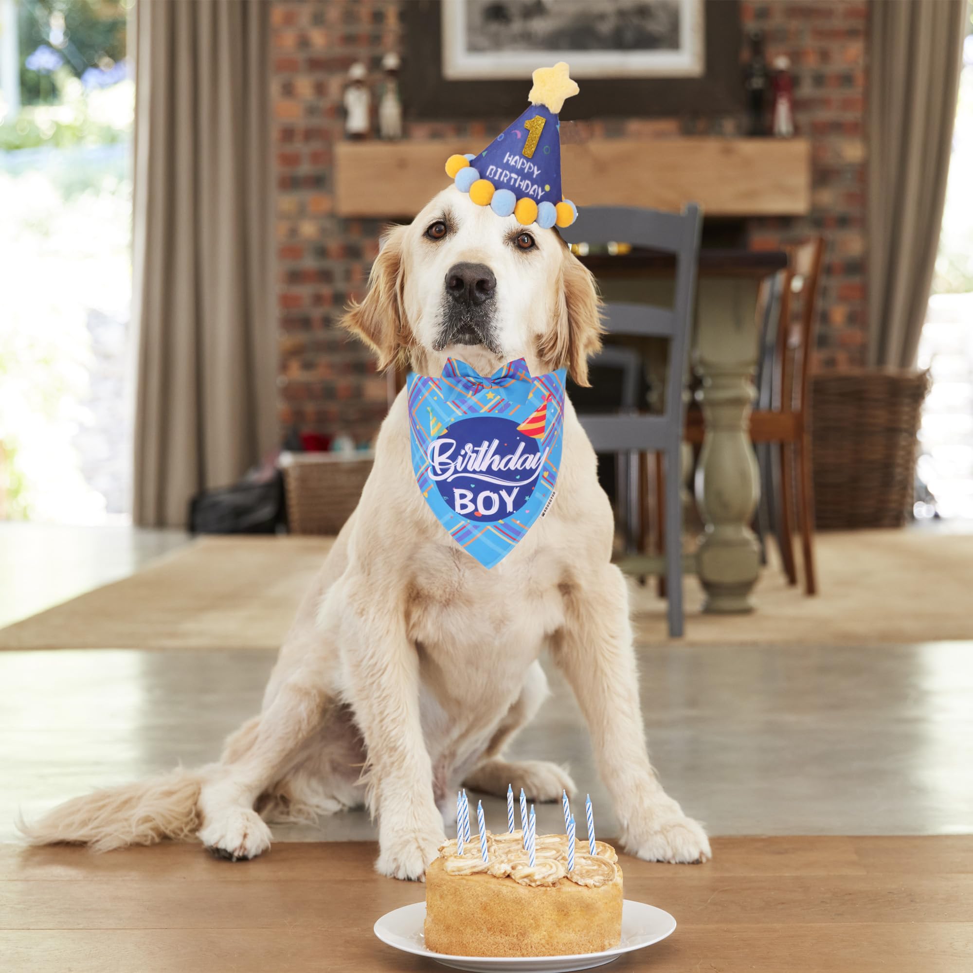 ADOGGYGO bandana anniversaire chien bleu, design plaid réversible pour style tout au long de la journée.