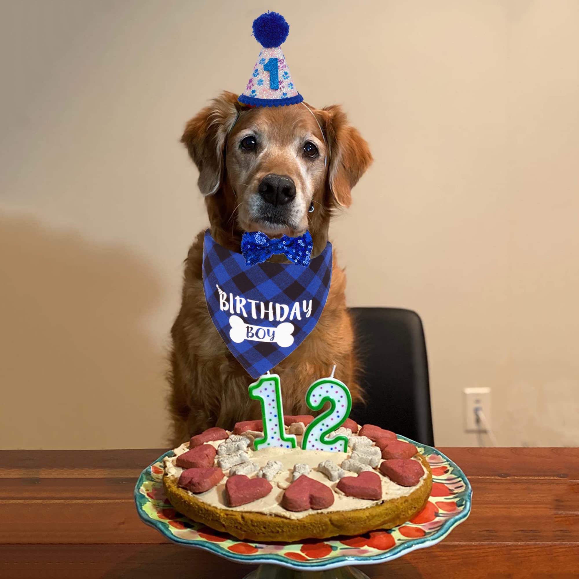 ADOGGYGO bandana anniversaire chien carreaux bleu, confort et style
