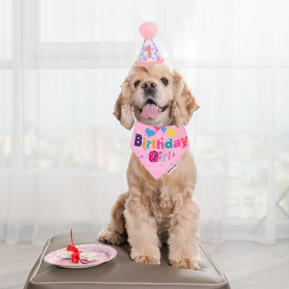 Bandana anniversaire ADOGGYGO pour chien, look rose adorable et léger.