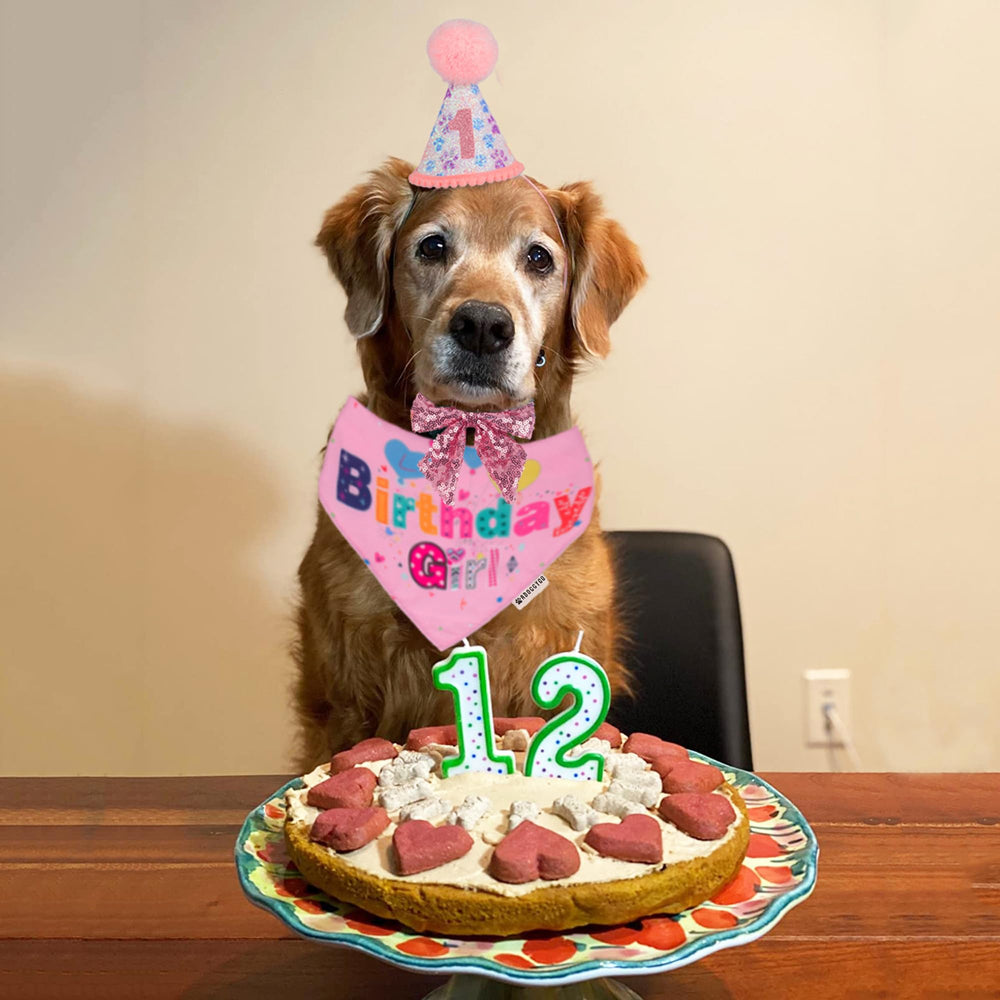 Bandana anniversaire ADOGGYGO rose pour chien, confortable et léger.