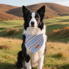 Bandana ADOGGYGO bleu réversible, adaptable à différents styles quotidiens.