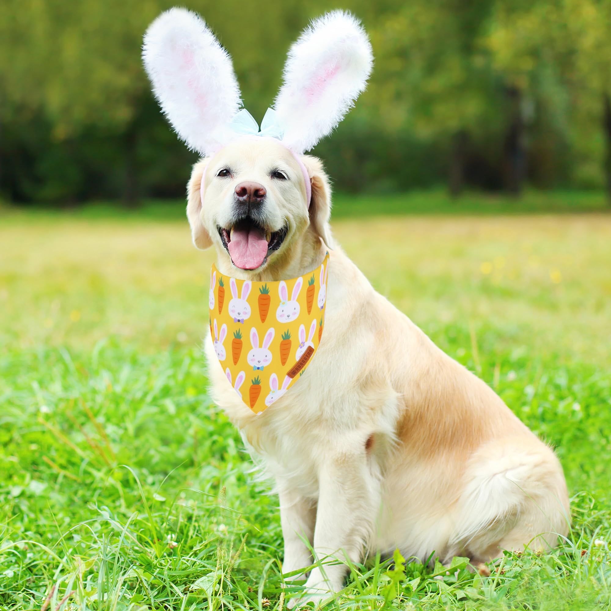 Bandana ADOGGYGO pour chien grande taille, ajustable jusqu'à 22 pouces.